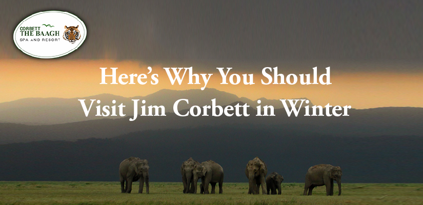 visiting Jim Corbett in winters