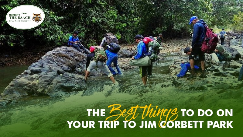 Things To Do in Jim Corbett